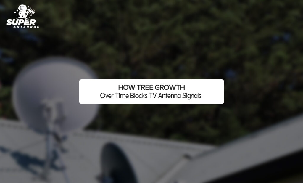 How Tree Growth Over Time Blocks TV Antenna Signals